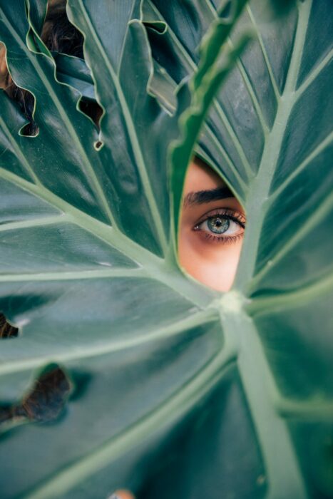 Greenwashing in the Beauty Industry