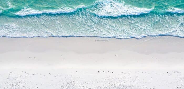 Interview with the Living Ocean