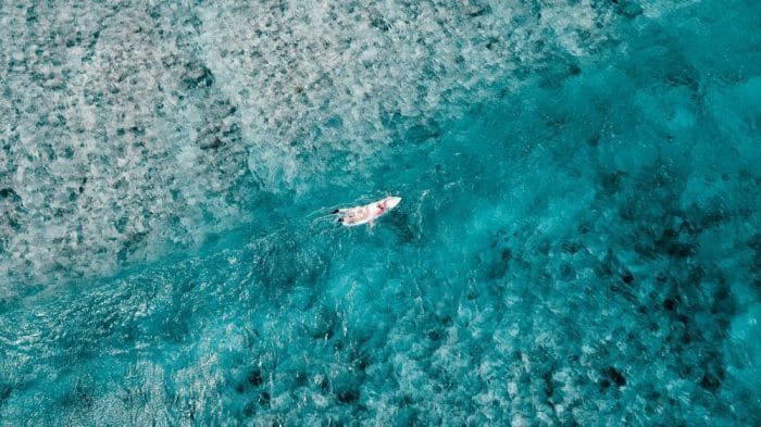 Why seven destinations worldwide banned toxic sunscreen chemicals