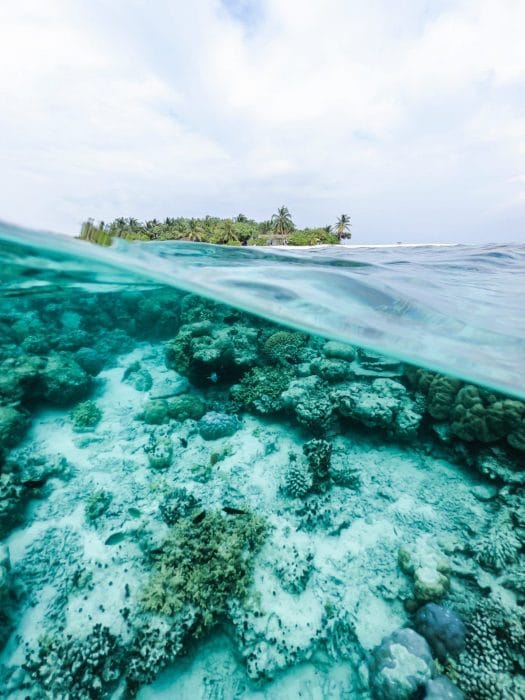 Palau Bans Reef-Toxic Sunscreen Chemicals to Save Corals