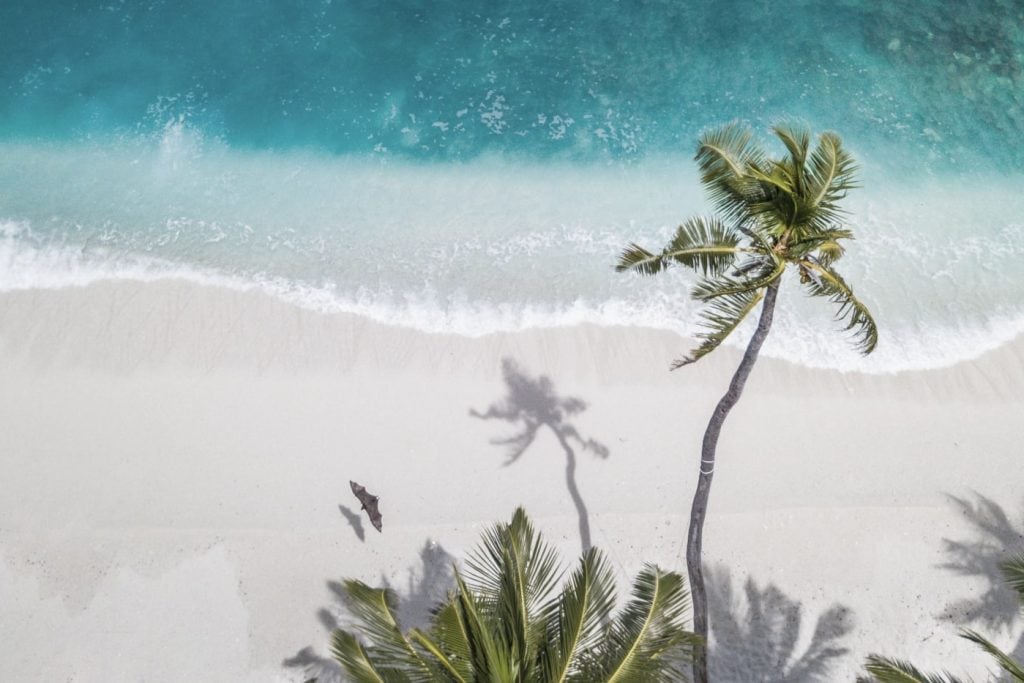11 Toxic sunscreen ingredients to avoid in 2024