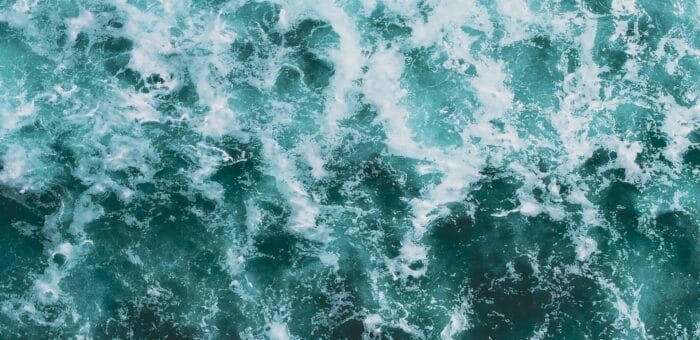 3 Part - Why our Oceans are so Important / Interview with Craig Downs